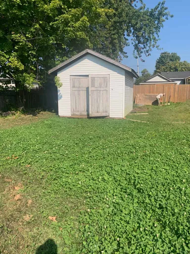 Shed before and after the rebuild - before